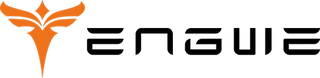 ENGWE logo