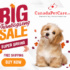 Big Savings on Bravecto Online + Extra 10% Discount & Free Shipping on All Orders!