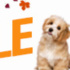 Happy Cat Month Sale: 25% Off + Free Shipping