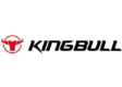 Kingbull Bike